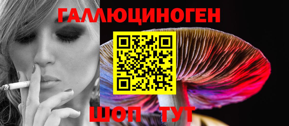 продажа наркотиков  Вход с VPN  Благодарный  Псилоцибиновые грибы Cubensis 
